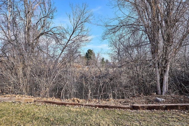 view of local wilderness