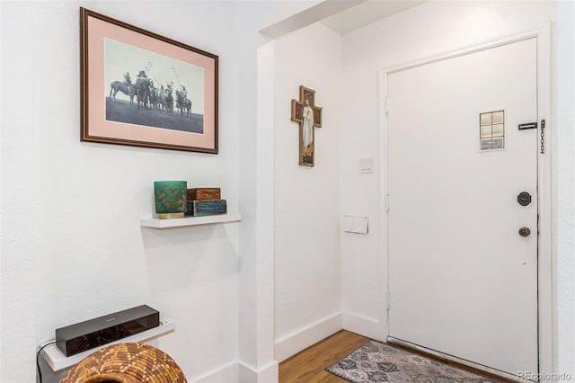 foyer entrance featuring hardwood / wood-style flooring