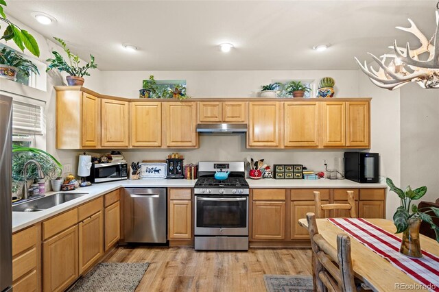 515 2nd Ave, Lyons, CO 80540 - photo 9