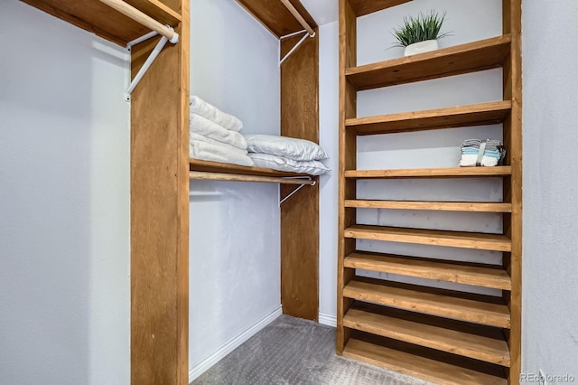 spacious closet featuring carpet