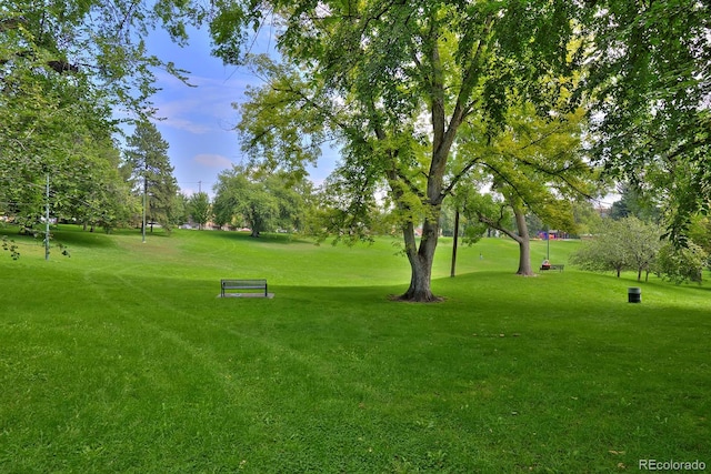view of property's community with a lawn