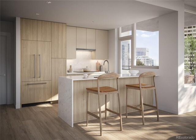 525 18th St Unit 1702, Denver, CO 80202 - kitchen featuring modern cabinets, wood finished floors, light countertops, and a kitchen breakfast bar