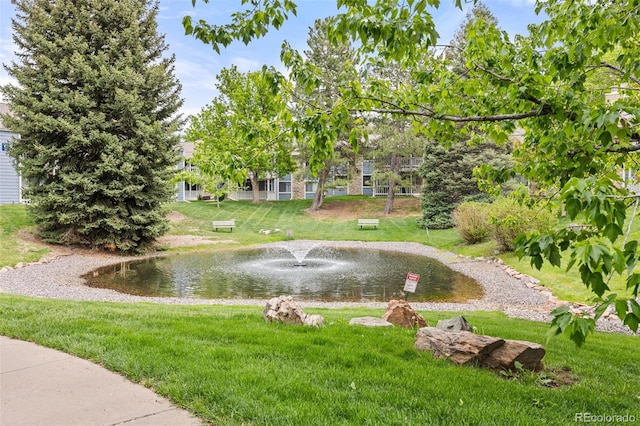 8335 Fairmount Dr Unit 208, Denver, CO 80247 - view of home's community featuring a lawn and a water view