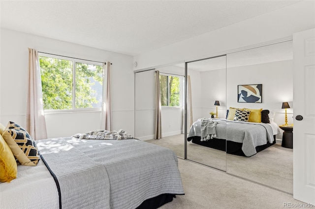 8335 Fairmount Dr Unit 208, Denver, CO 80247 - bedroom with a closet and carpet floors