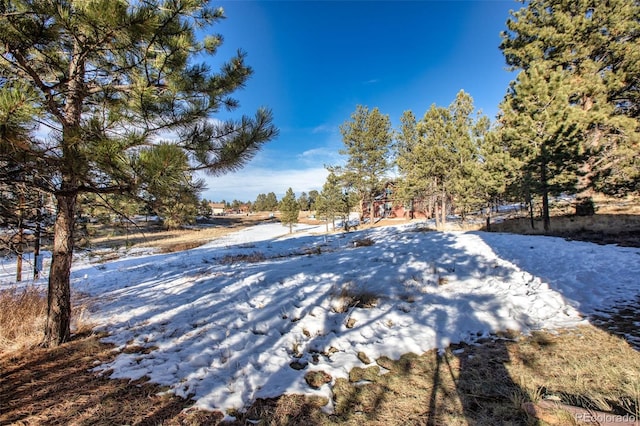 view of yard covered in snow