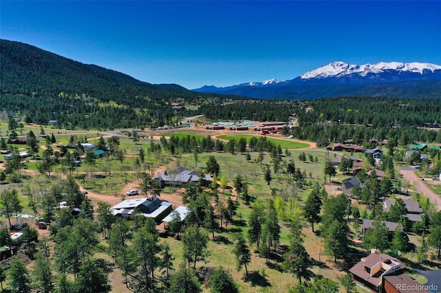 bird's eye view with a mountain view