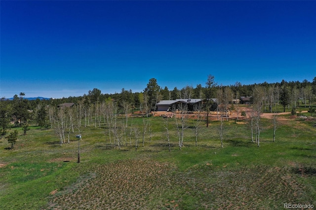 view of yard with a rural view