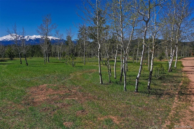 view of yard featuring a mountain view