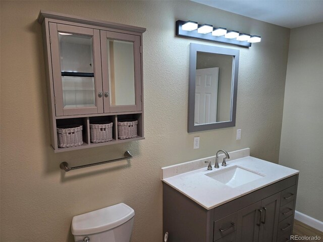 bathroom with toilet and vanity