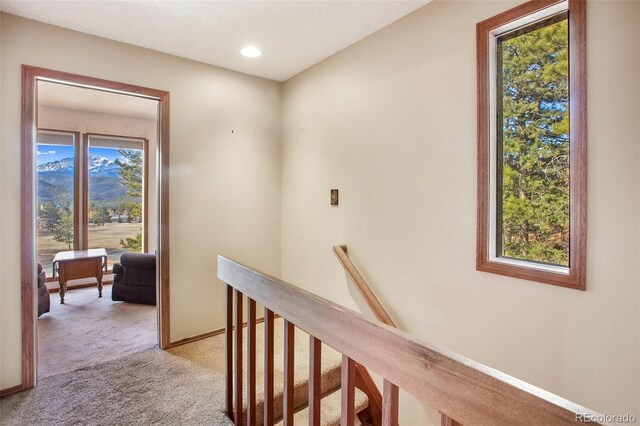 590 Greenway Ct Unit A, Woodland Park, CO 80863 - photo 11