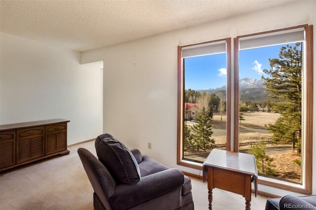 590 Greenway Ct Unit A, Woodland Park, CO 80863 - photo 12