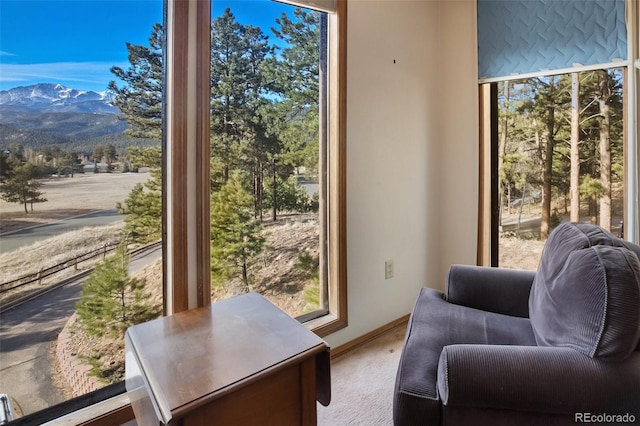 590 Greenway Ct Unit A, Woodland Park, CO 80863 - photo 13