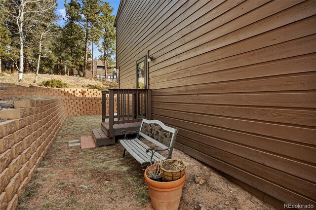 590 Greenway Ct Unit A, Woodland Park, CO 80863 - photo 22