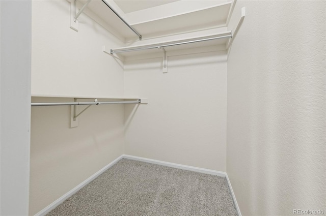 3565 W 112th Cir, Westminster, CO 80031 - spacious closet with carpet