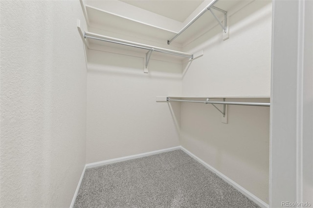 3565 W 112th Cir, Westminster, CO 80031 - walk in closet featuring carpet floors