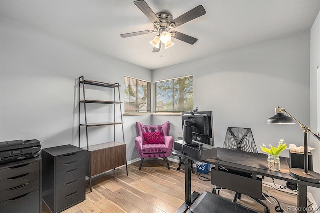 120 Field St, Lakewood, CO 80226 - office featuring ceiling fan, light wood-style flooring, and baseboards