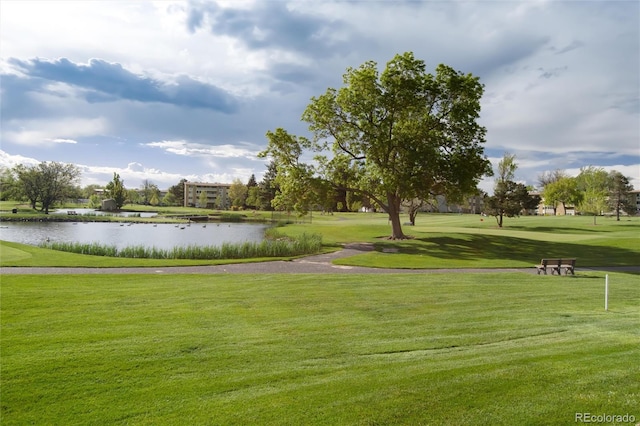 view of community with a yard and a water view