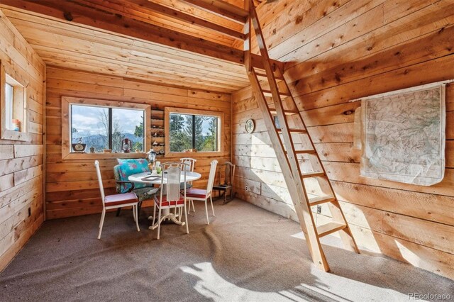 600 Rock Lake Rd, Ward, CO 80481 - interior space