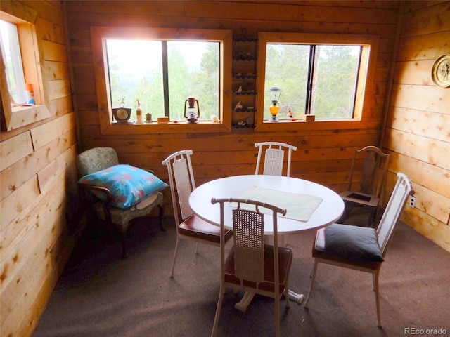 600 Rock Lake Rd, Ward, CO 80481 - carpeted dining room featuring wooden walls