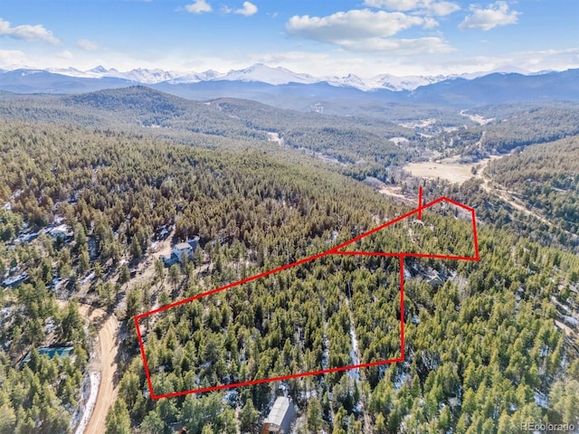 600 Rock Lake Rd, Ward, CO 80481 - bird's eye view with a mountain view and a forest view