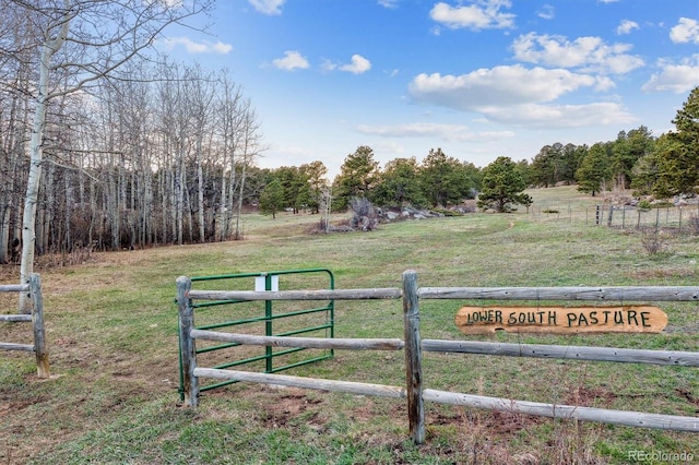 600 Rock Lake Rd, Ward, CO 80481 - view of yard with fence