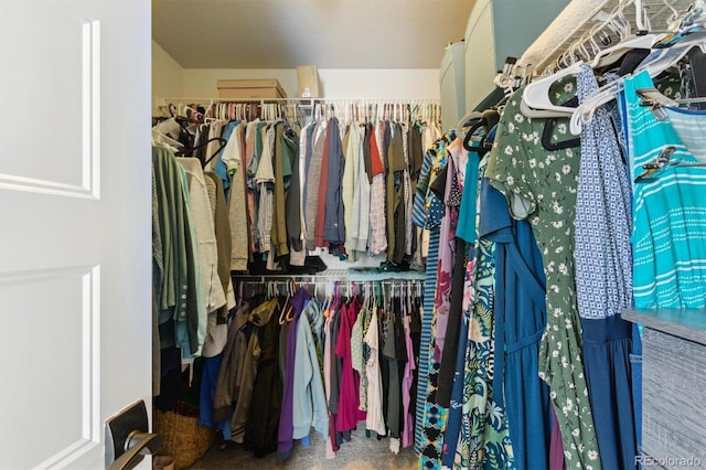 view of spacious closet