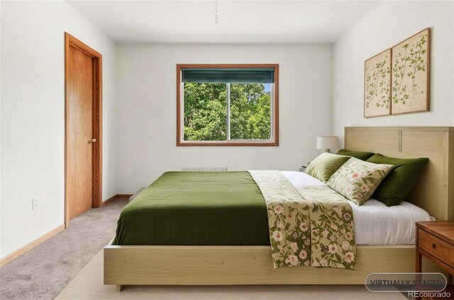 131 Morgan Ct, Loveland, CO 80537 - bedroom featuring carpet and radiator heating unit