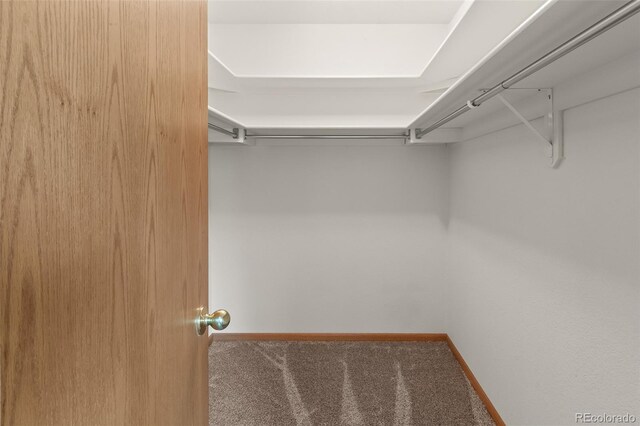 131 Morgan Ct, Loveland, CO 80537 - spacious closet with carpet flooring