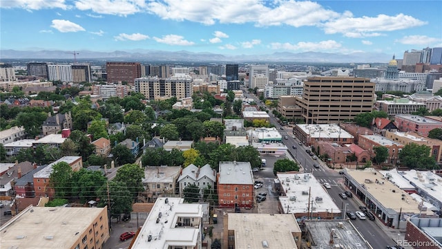 1266 N Pearl St, Denver, CO 80203 - photo 34