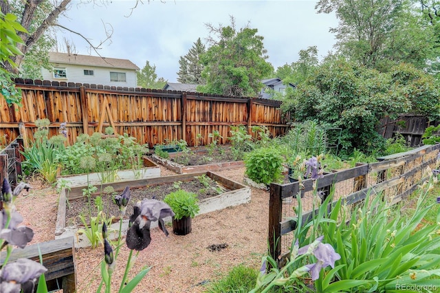 10527 Pierson Cir, Westminster, CO 80021 - fenced backyard with a vegetable garden