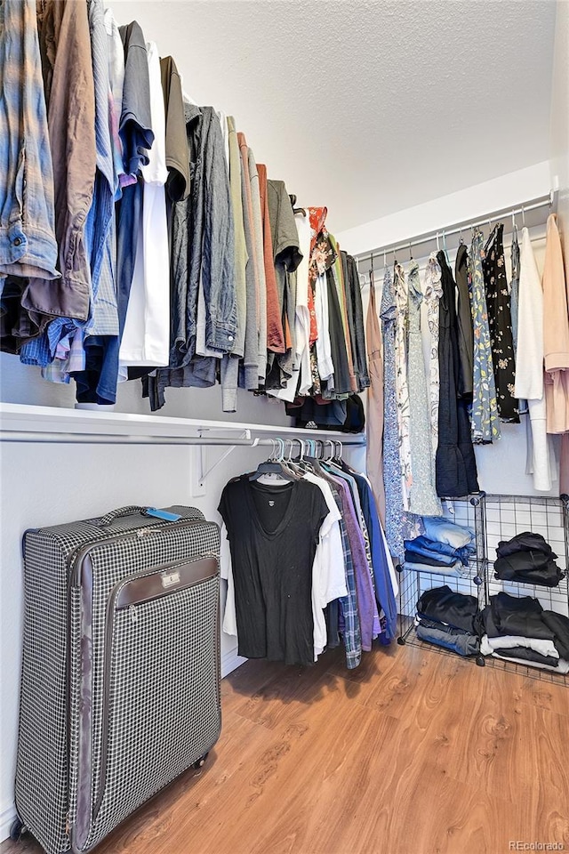 spacious closet featuring wood finished floors