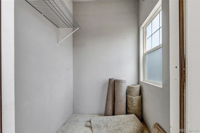 9387 Ashbury Cir Unit 203, Parker, CO 80134 - view of walk in closet