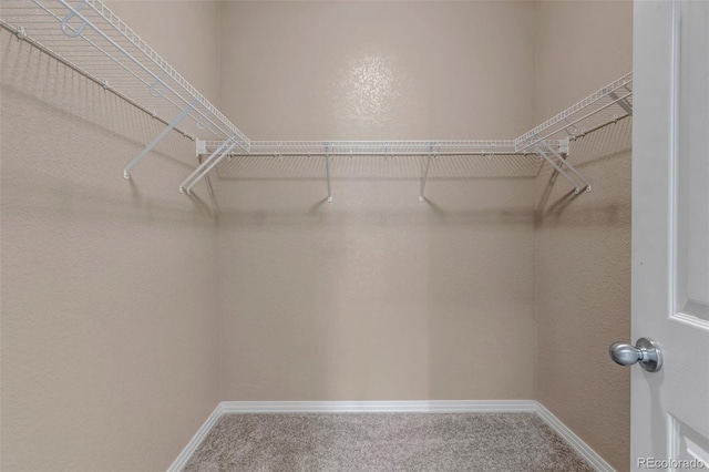 9387 Ashbury Cir Unit 203, Parker, CO 80134 - walk in closet with carpet