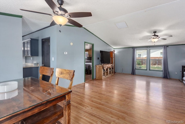 110 Evans Ave, Poncha Springs, CO 81242 - dining area featuring ceiling fan, light wood-style floors, a textured ceiling, and lofted ceiling