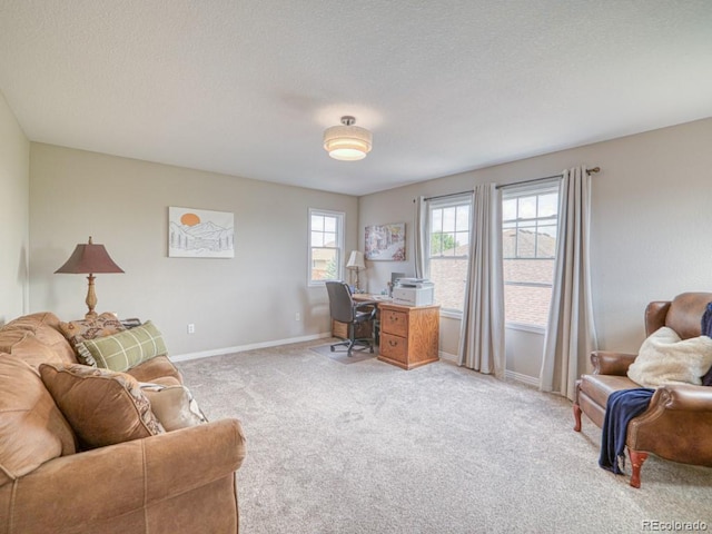 6763 S Robb Ct, Littleton, CO 80127 - photo 28