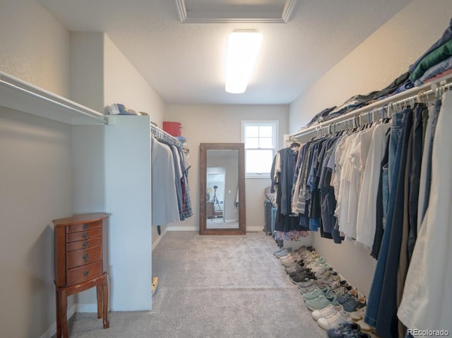 6763 S Robb Ct, Littleton, CO 80127 - photo 33