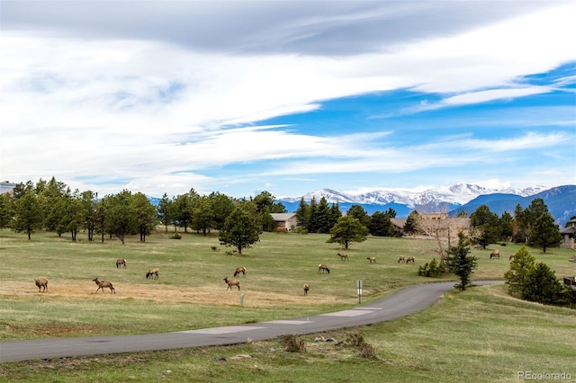 1555 Genesee Ridge Rd, Golden, CO 80401 - view of green lawn featuring a mountain view and a view of countryside