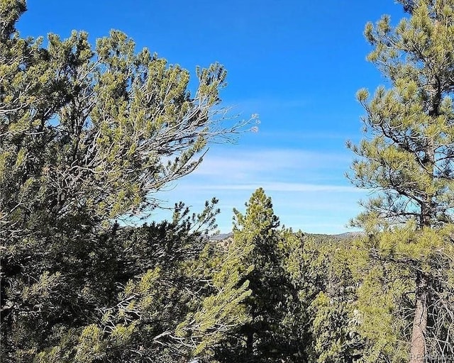 0 42nd Trl, Cotopaxi CO, 81223 land for sale