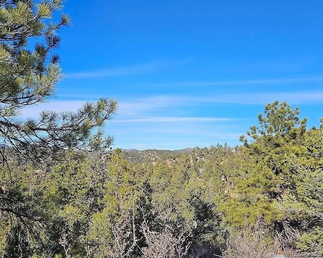 Listing photo 2 for 0 42nd Trl, Cotopaxi CO 81223