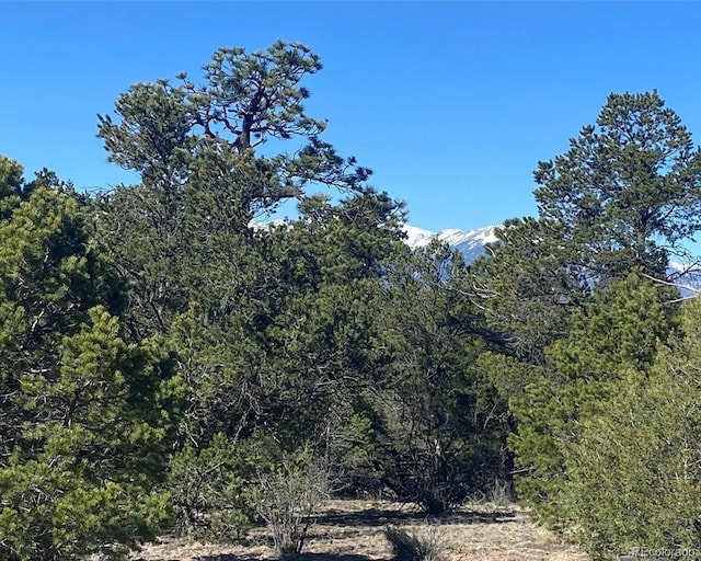 Listing photo 3 for 0 42nd Trl, Cotopaxi CO 81223