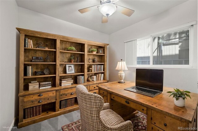 8679 Apache Plume Dr, Parker, CO 80134 - office space featuring a ceiling fan