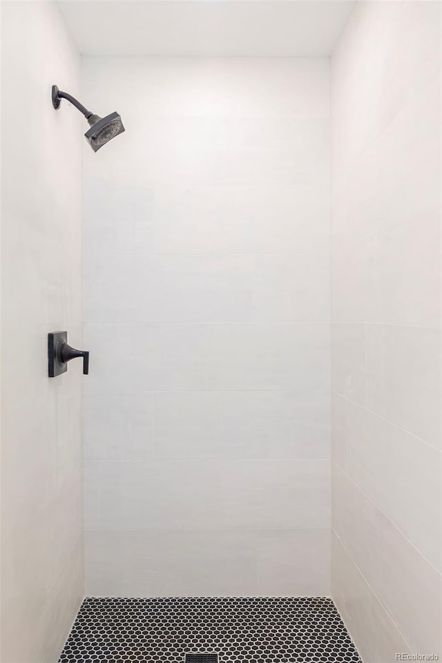 675 Gcr 462, Grand Lake, CO 80447 - full bathroom with tiled shower