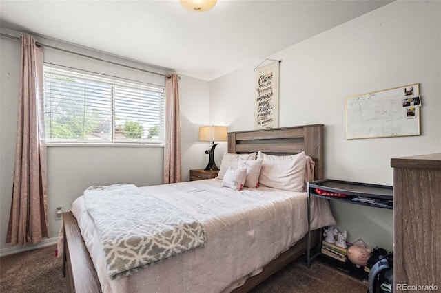 12167 E Exposition Ave, Aurora, CO 80012 - view of carpeted bedroom