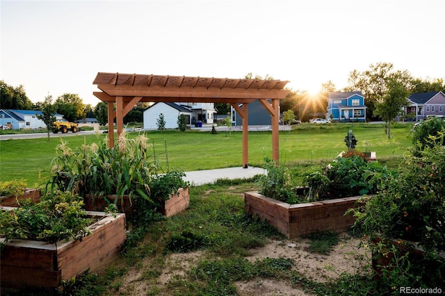 view of yard featuring a pergola