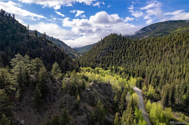 634 County Road 62, Grant, CO 80448