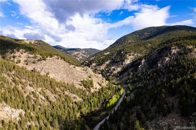 634 County Road 62, Grant, CO 80448