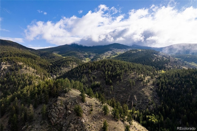 634 County Road 62, Grant, CO 80448