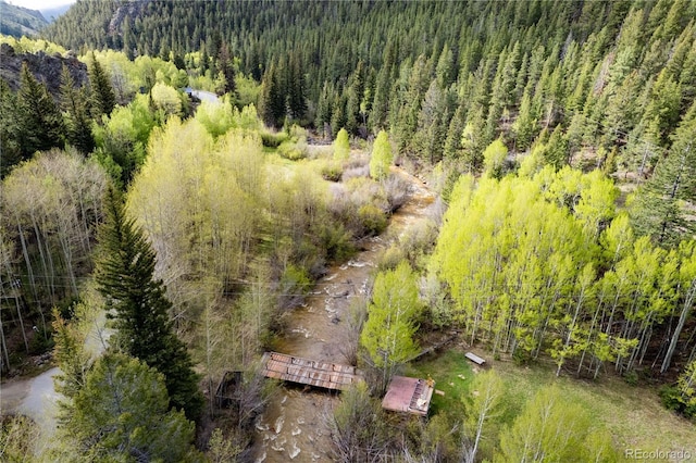 634 County Road 62, Grant, CO 80448