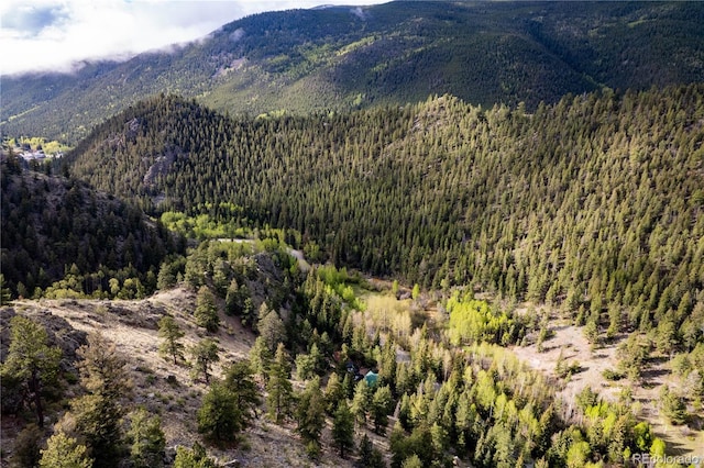 634 County Road 62, Grant, CO 80448