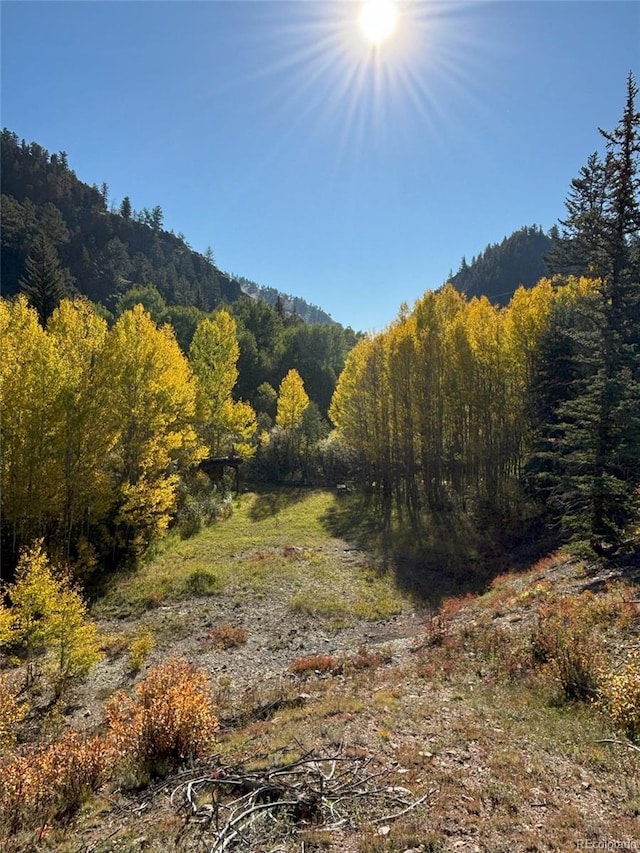 634 County Road 62, Grant, CO 80448